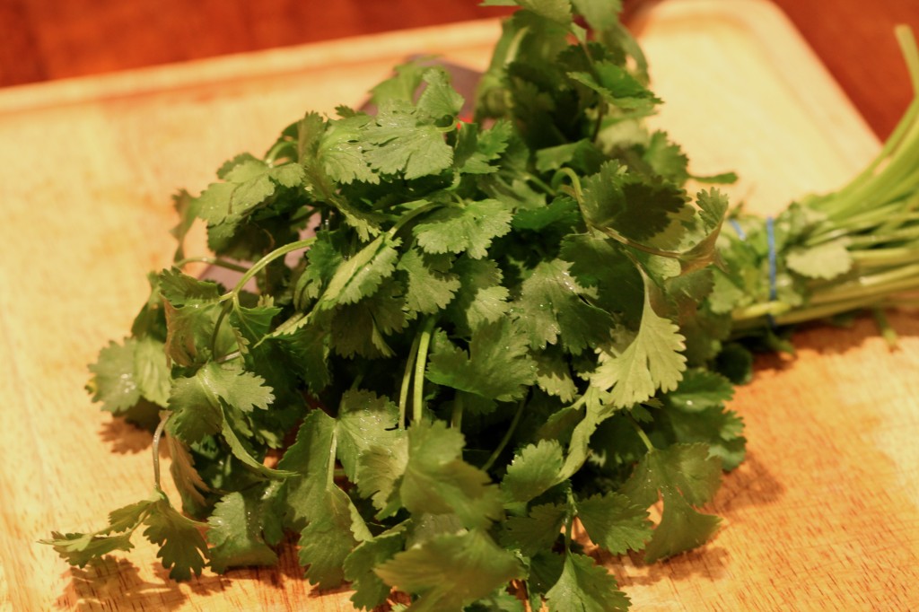 Tuesday’s Tools and Tips How to Cut Cilantro Leaves off the Stem